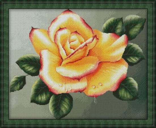 Цветя Божествена роза