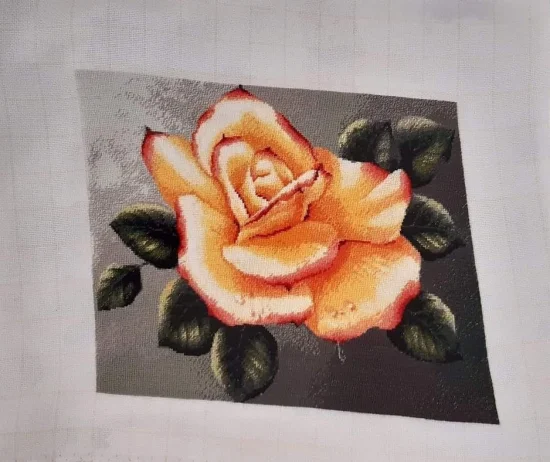 Божествена роза