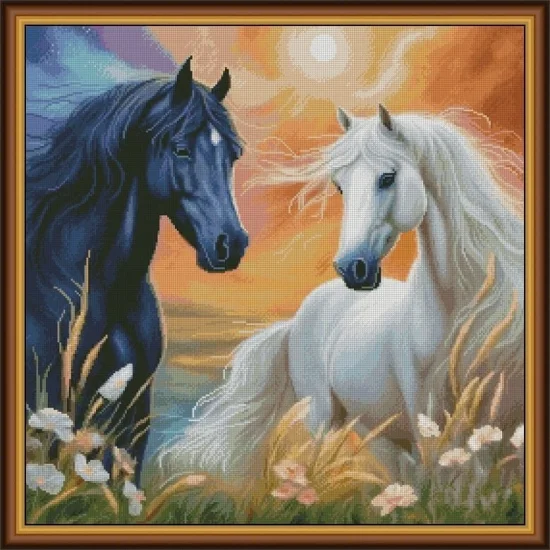 Животни Ден и нощ