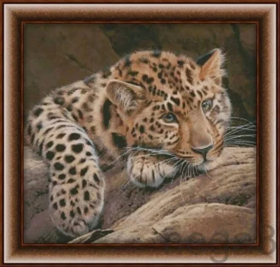 Животни Добрият леопард