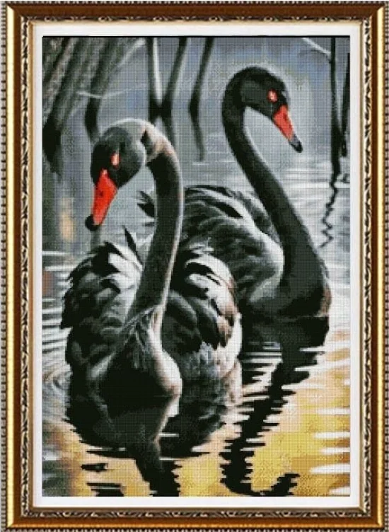 Животни Два лебеда