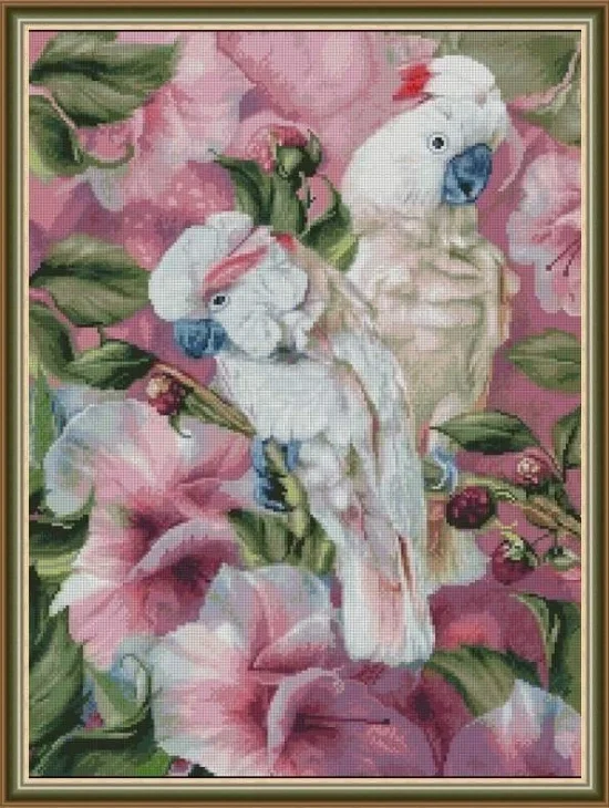 Животни Два папагала