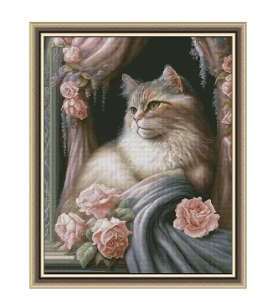 Животни Екзотична котка