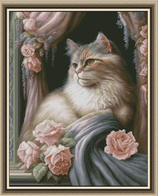 Животни Екзотична котка
