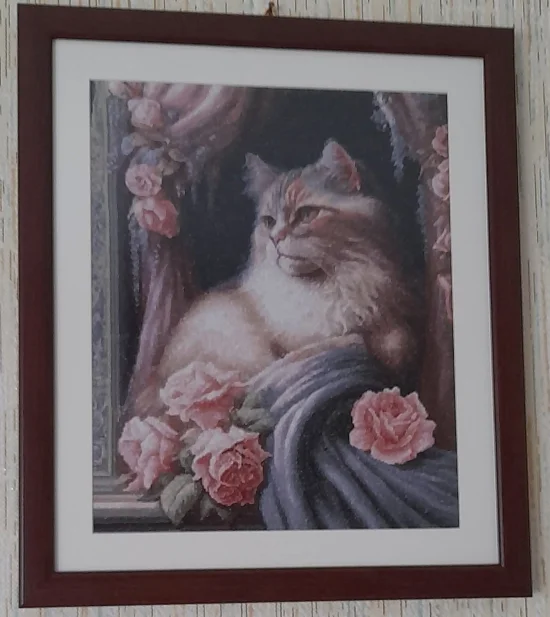 Екзотична котка