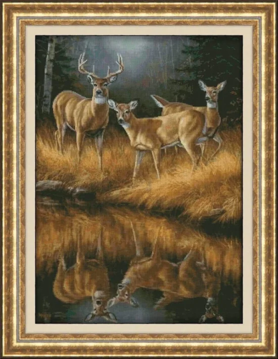 Животни Елени в гората