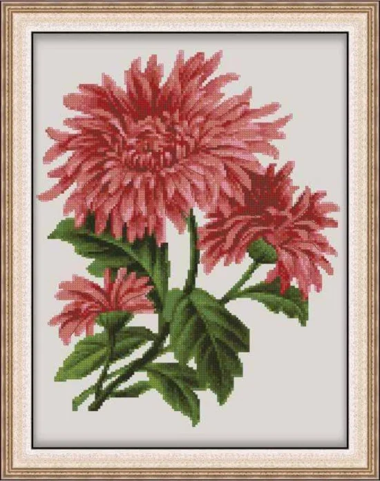 Цветя Хризантеми