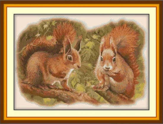 Животни Катерички в гората