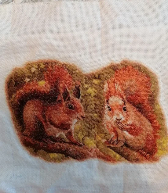 Катерички в гората