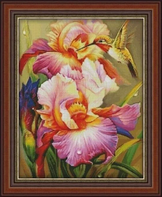 Цветя Колибри сред ириси