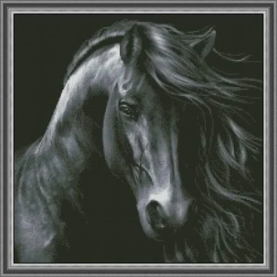 Животни Конче