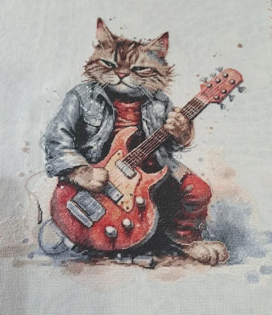 Котарак китарист