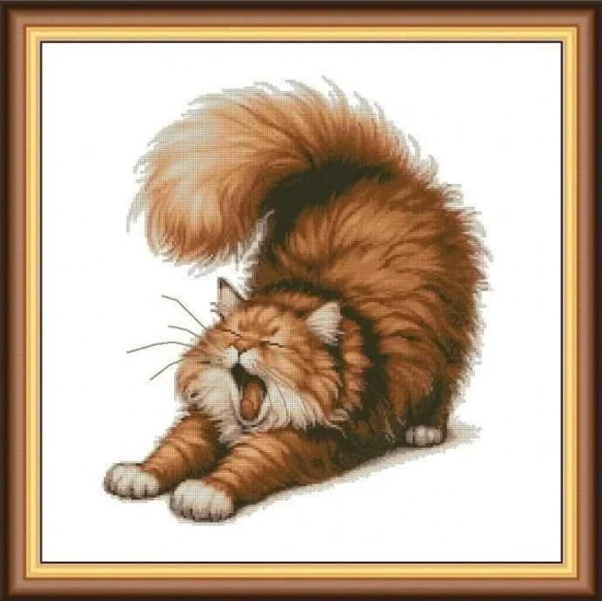 Животни Котарана поспалана