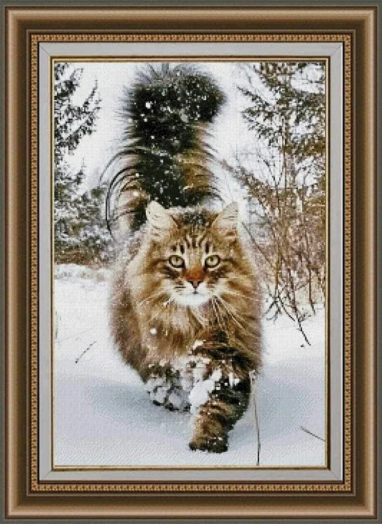 Животни Коте в снега