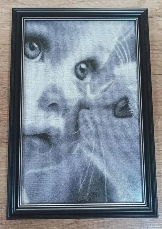Котешка милувка