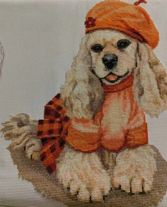 Красавица с шапка