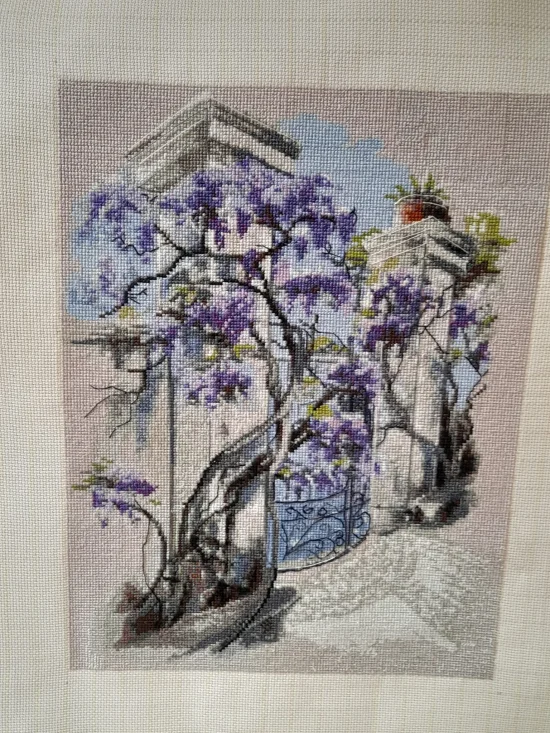 Красиви глицинии