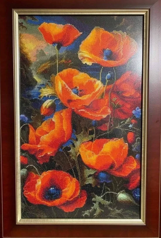 Красиви макове