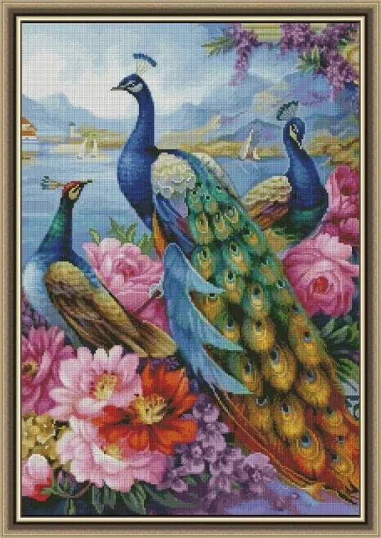 Животни Красиви пауни