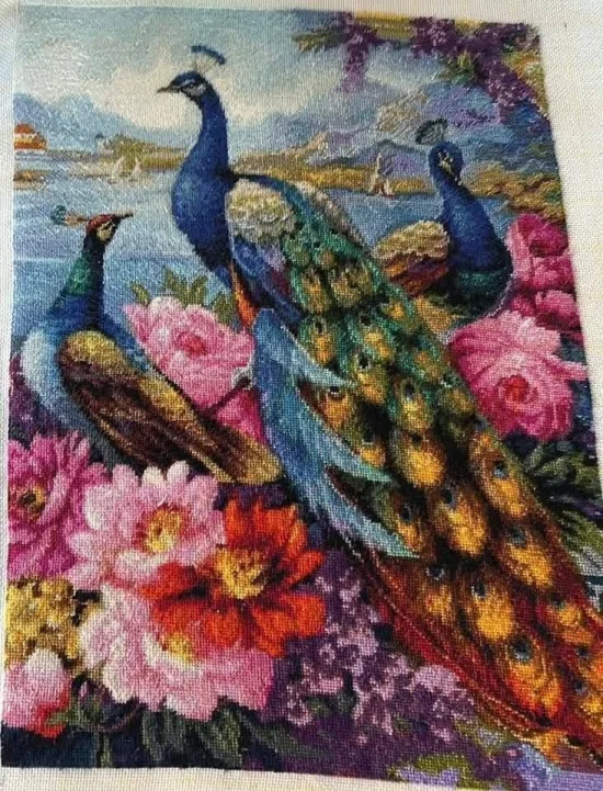 Красиви пауни