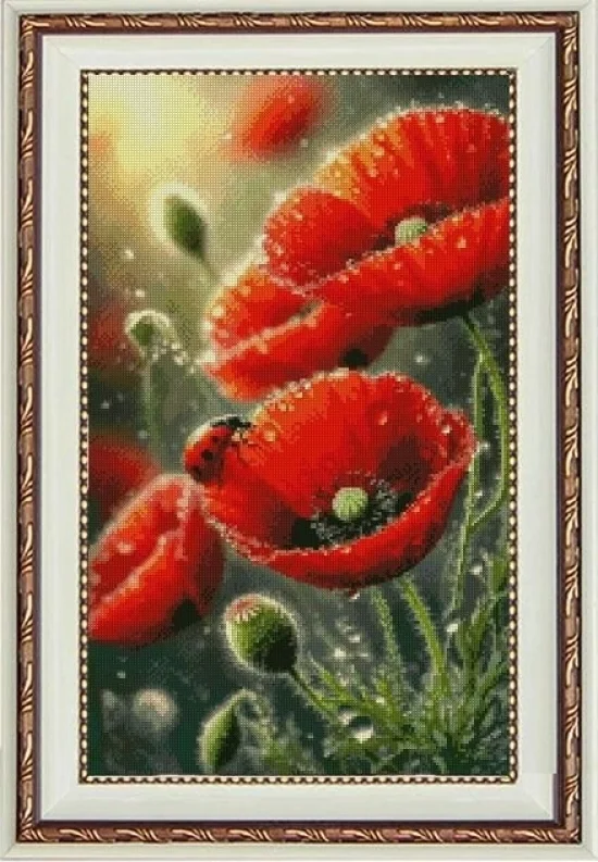 Цветя Макове с калинка