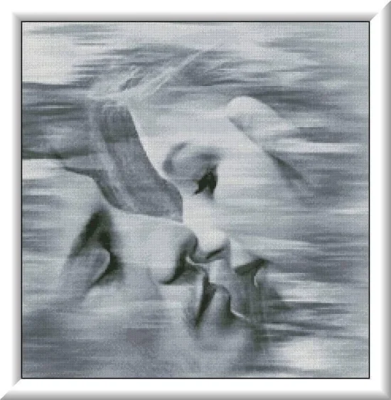 Еротика Обич