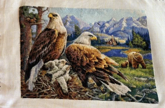 Орлово семейство