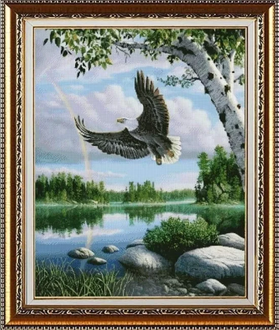 Животни Полет след дъжда