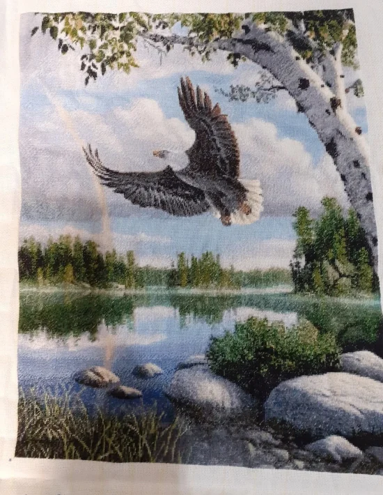 Полет след дъжда