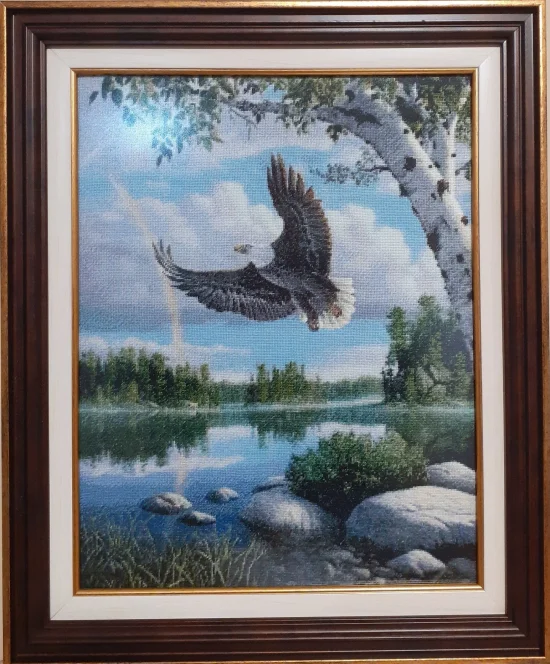 Полет след дъжда