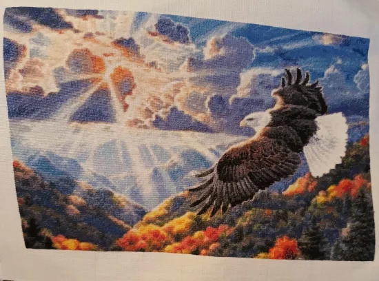 Полетът на орела