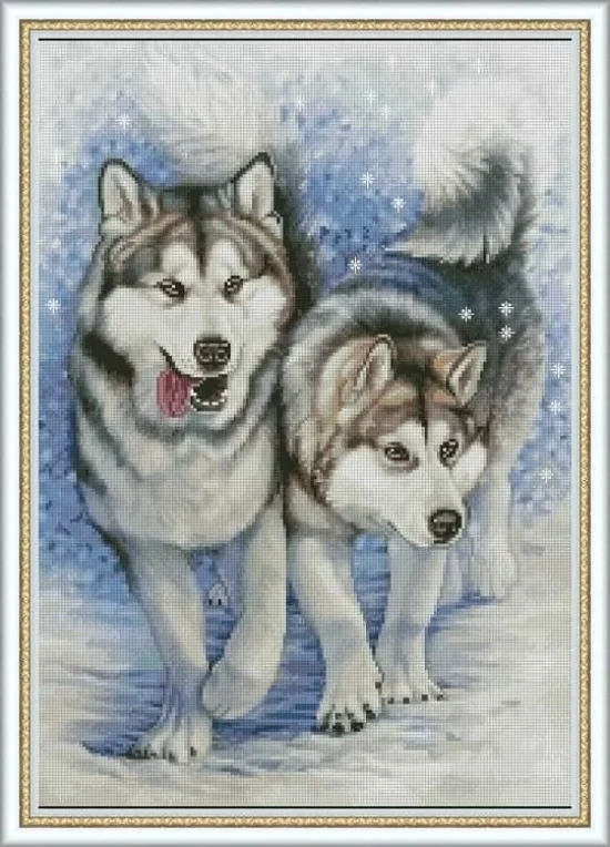 Животни Пухести хъскита