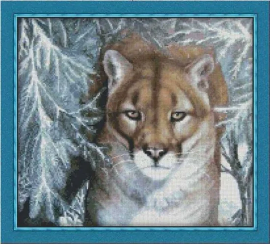 Животни Пума