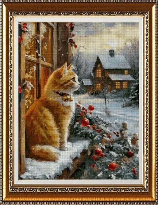 Животни Рижава котка на прозорец