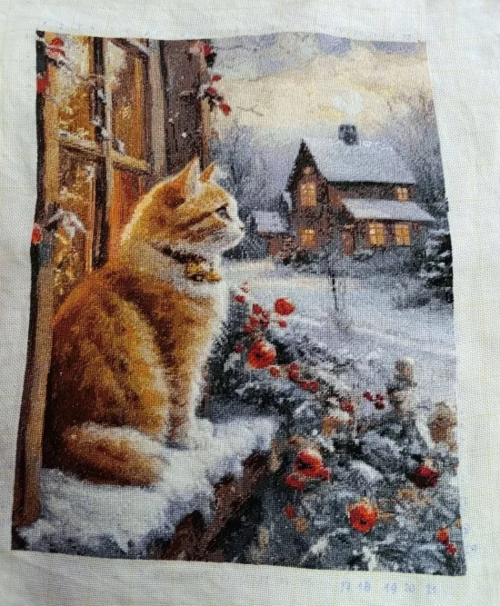 Рижава котка на прозорец