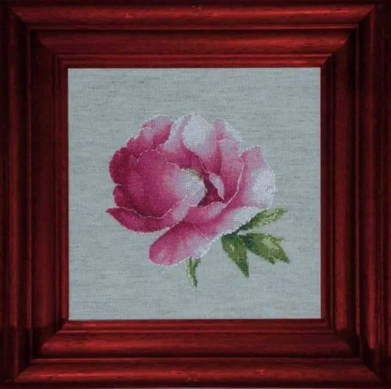 Цветя Розов божур