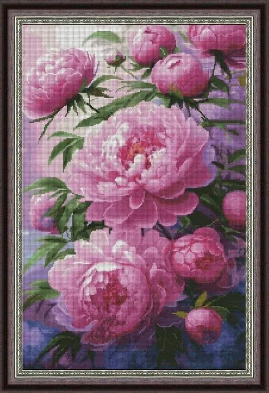 Цветя Розови божури