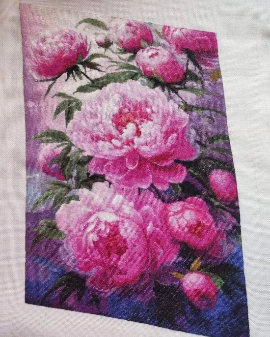 Розови божури