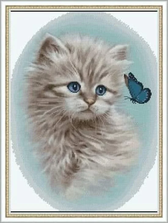 Животни Синеочко