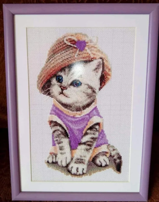 Сладко коте с шапка